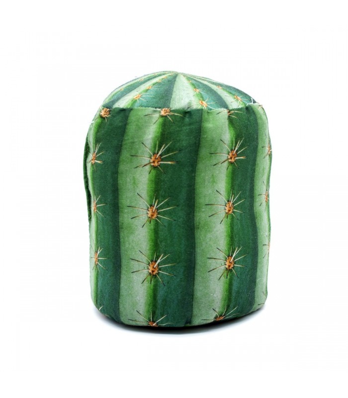 Cojín Sujetapuertas | Cactus Wagon